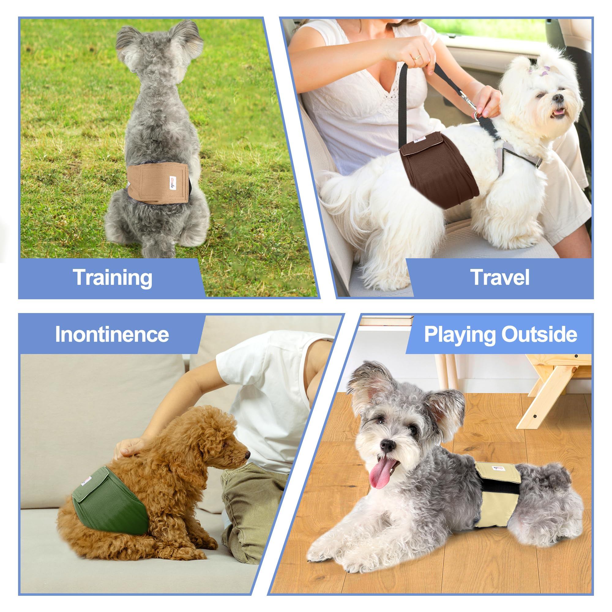 Grecle couches chien mâle – lavables en machine, pratique au quotidien.