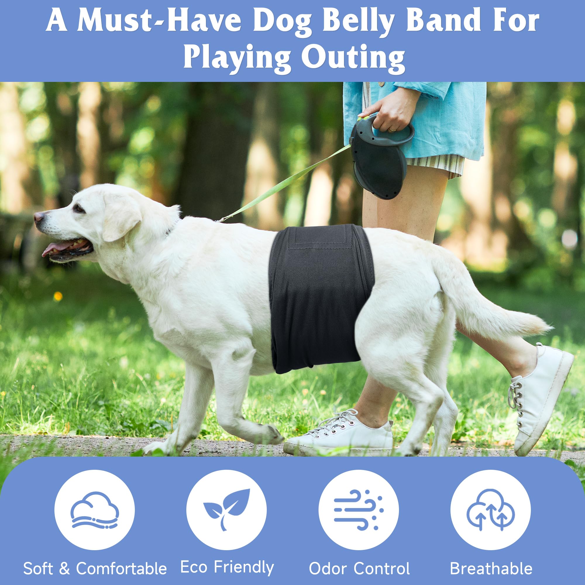Grecle couches ventrales mâle chien: protection discrète et efficace contre les accidents.