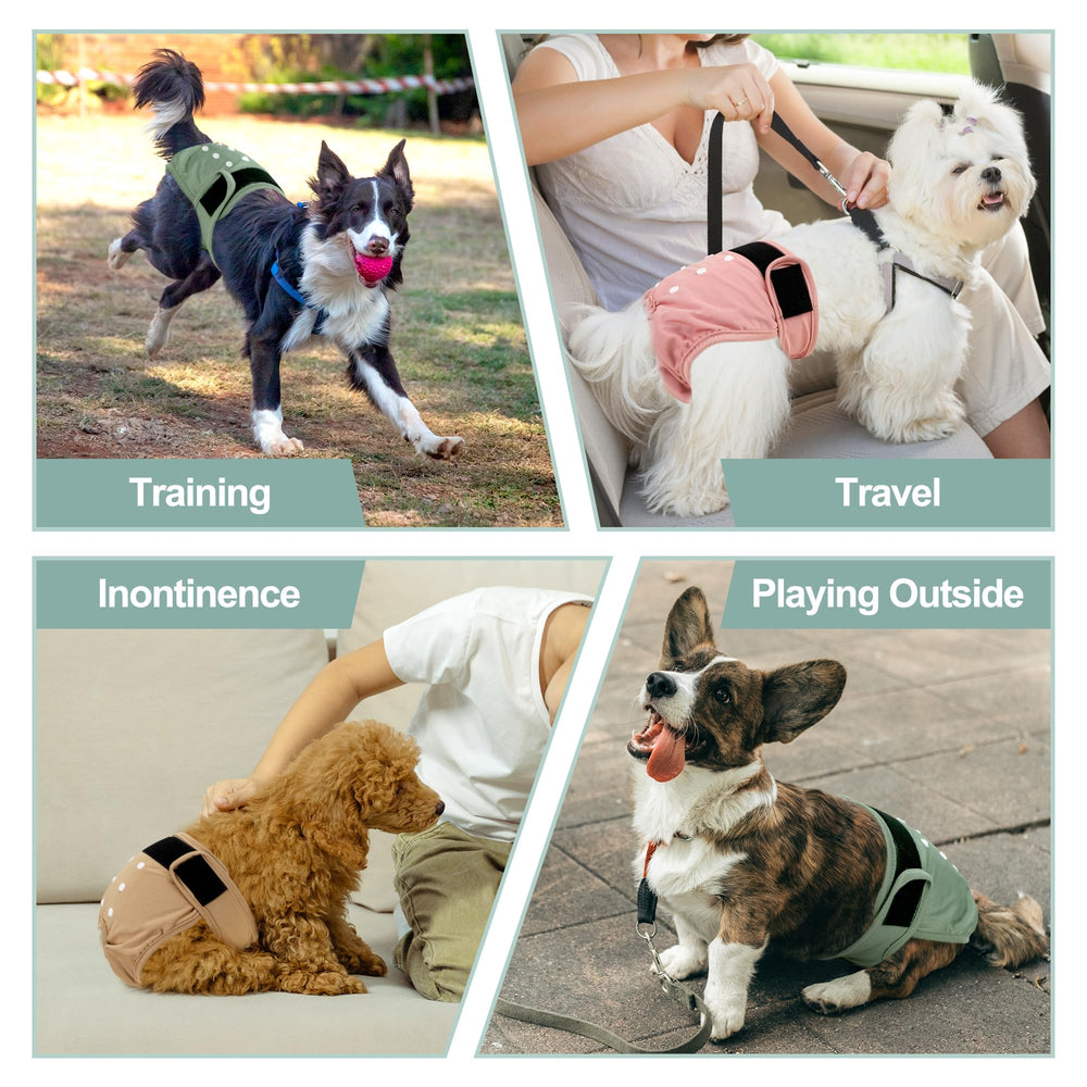 Grecle usage quotidien facile pour chienne en chaleur.