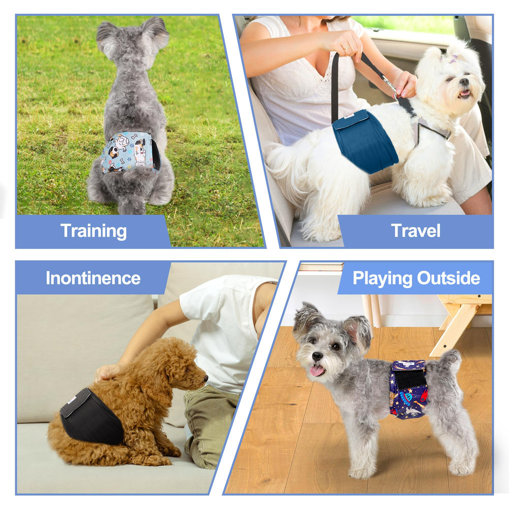 Grecle utilisation quotidienne et entraînement du chien, pratique.