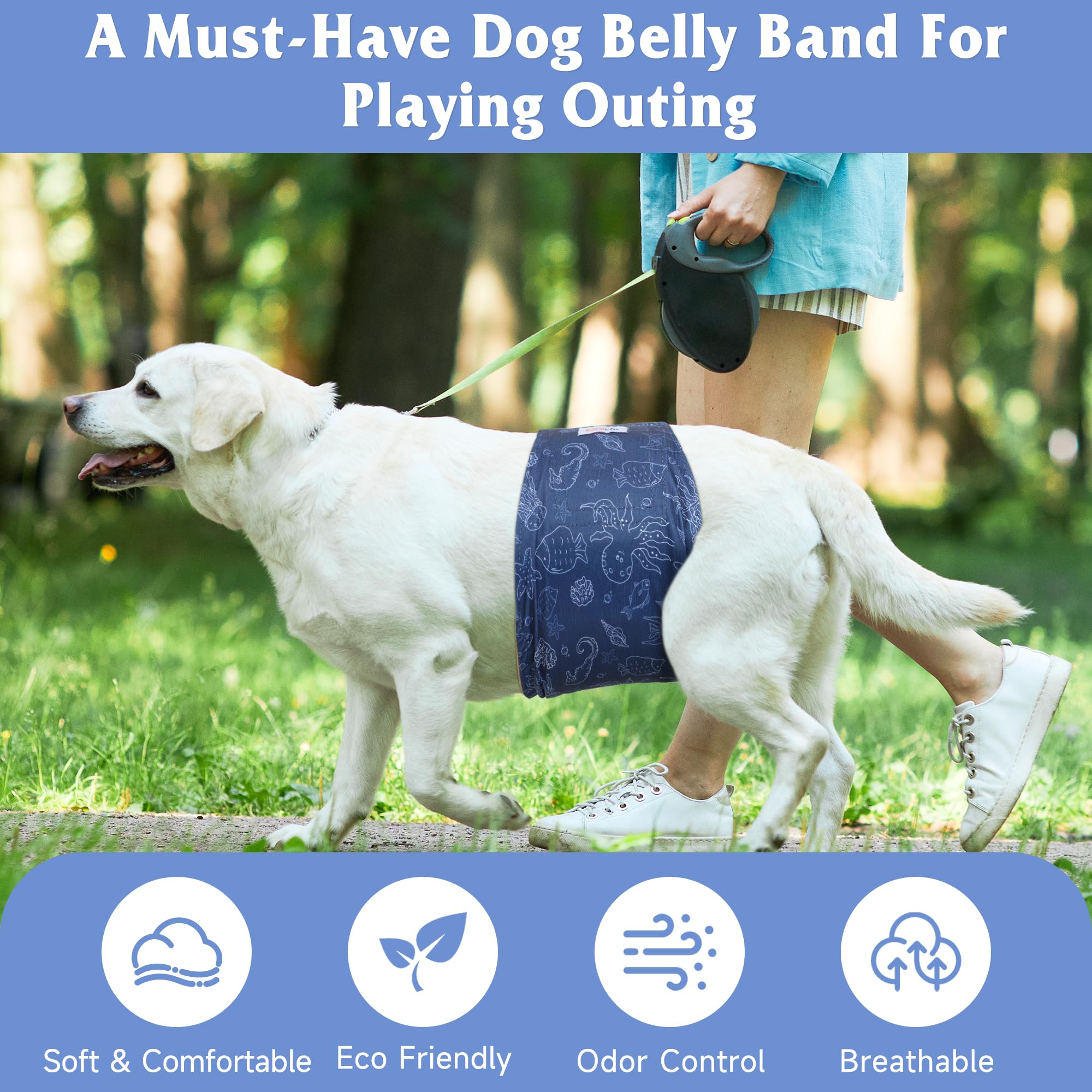 Grecle bande ventrale durable conçue pour l’incontinence légère et l’entraînement quotidien.
