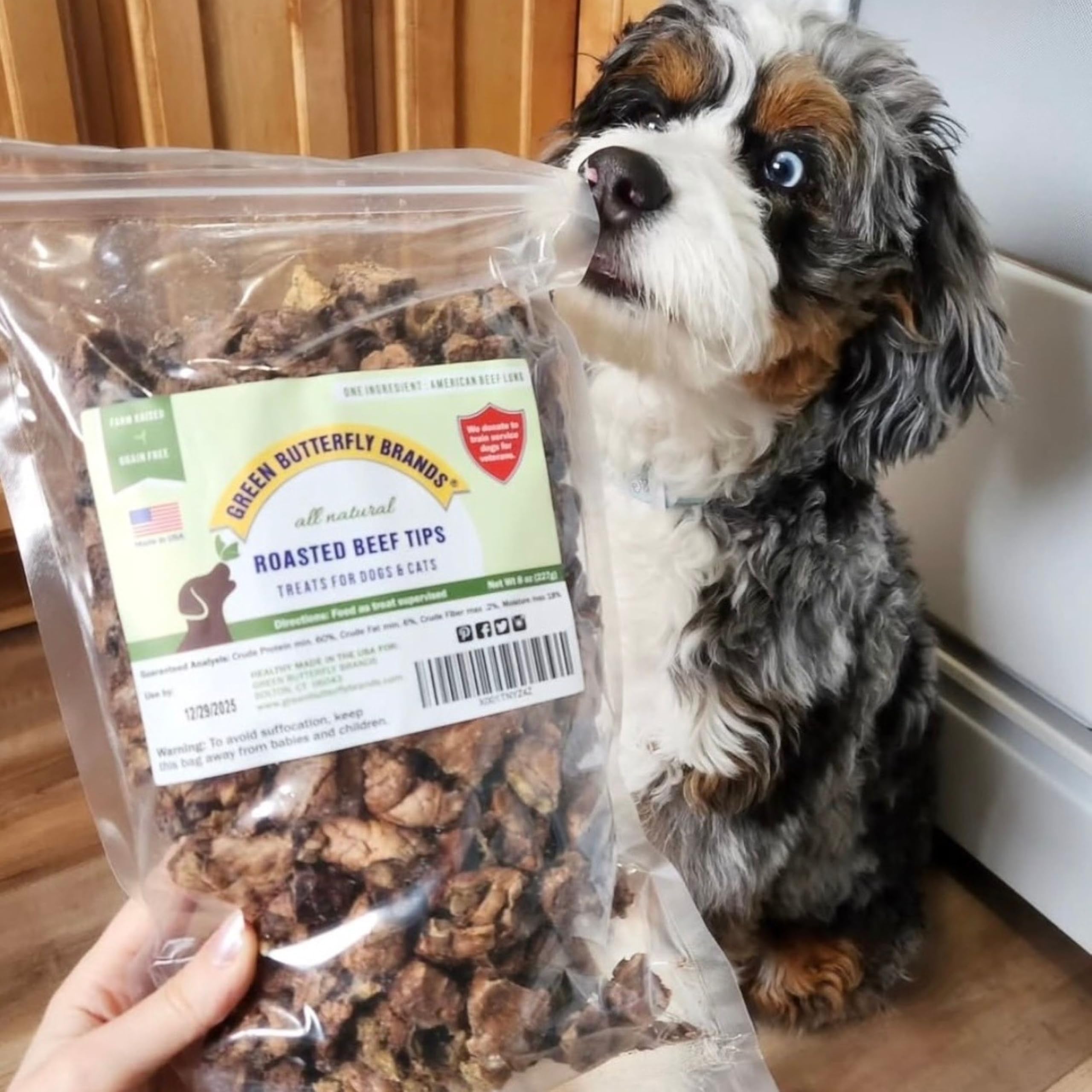 Green Butterfly Brands – sans céréales et gluten, digeste.