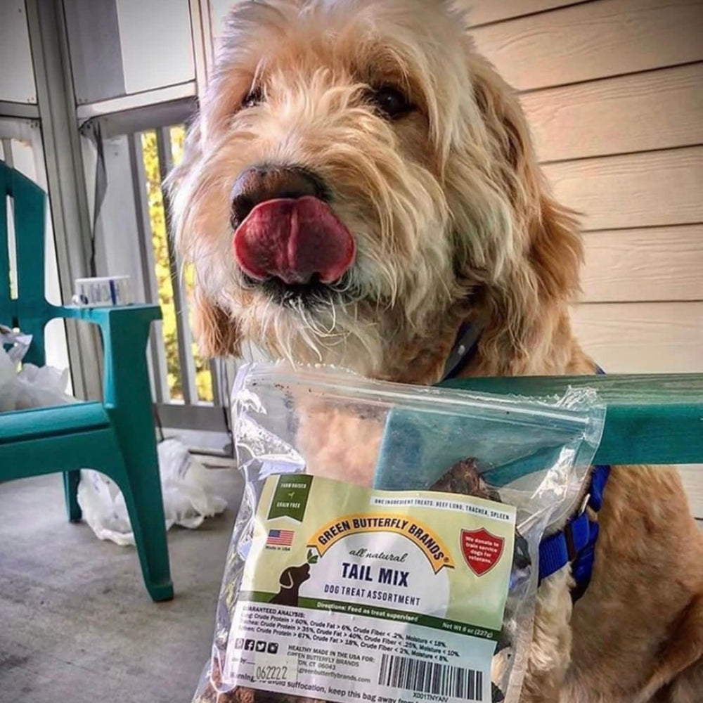 Green Butterfly Brands Tail Mix chien heureux, goût naturel et texture agréable.