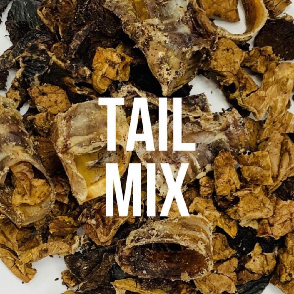 Green Butterfly Brands Tail Mix dons pour chiens d’assistance, soutien à la formation.