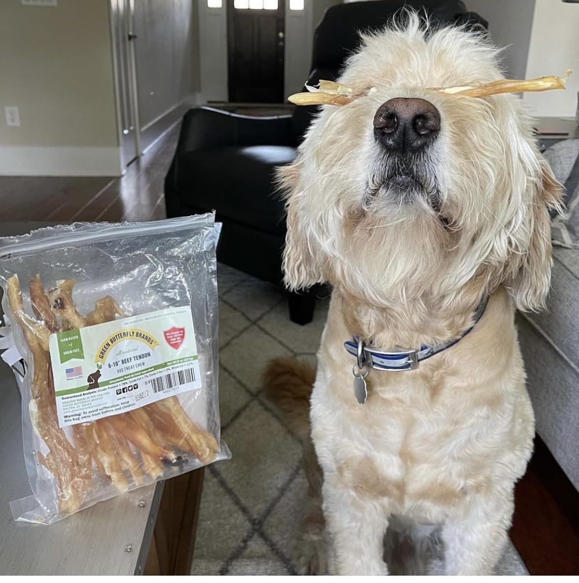 Gros plan sur la tranche de tendon, substitut du cuir brut sûr pour chiens.