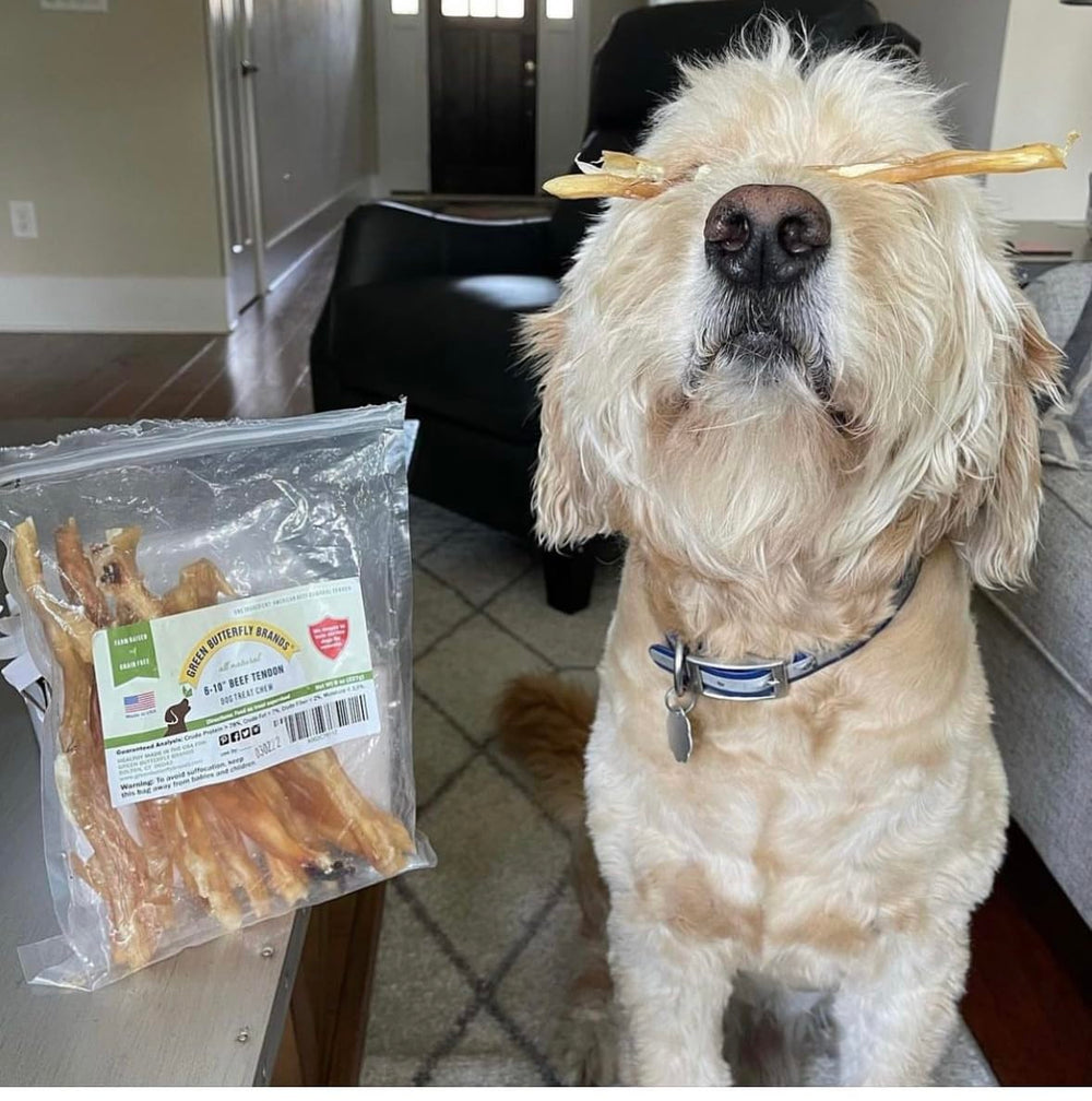 Gros plan sur la tranche de tendon, substitut du cuir brut sûr pour chiens.