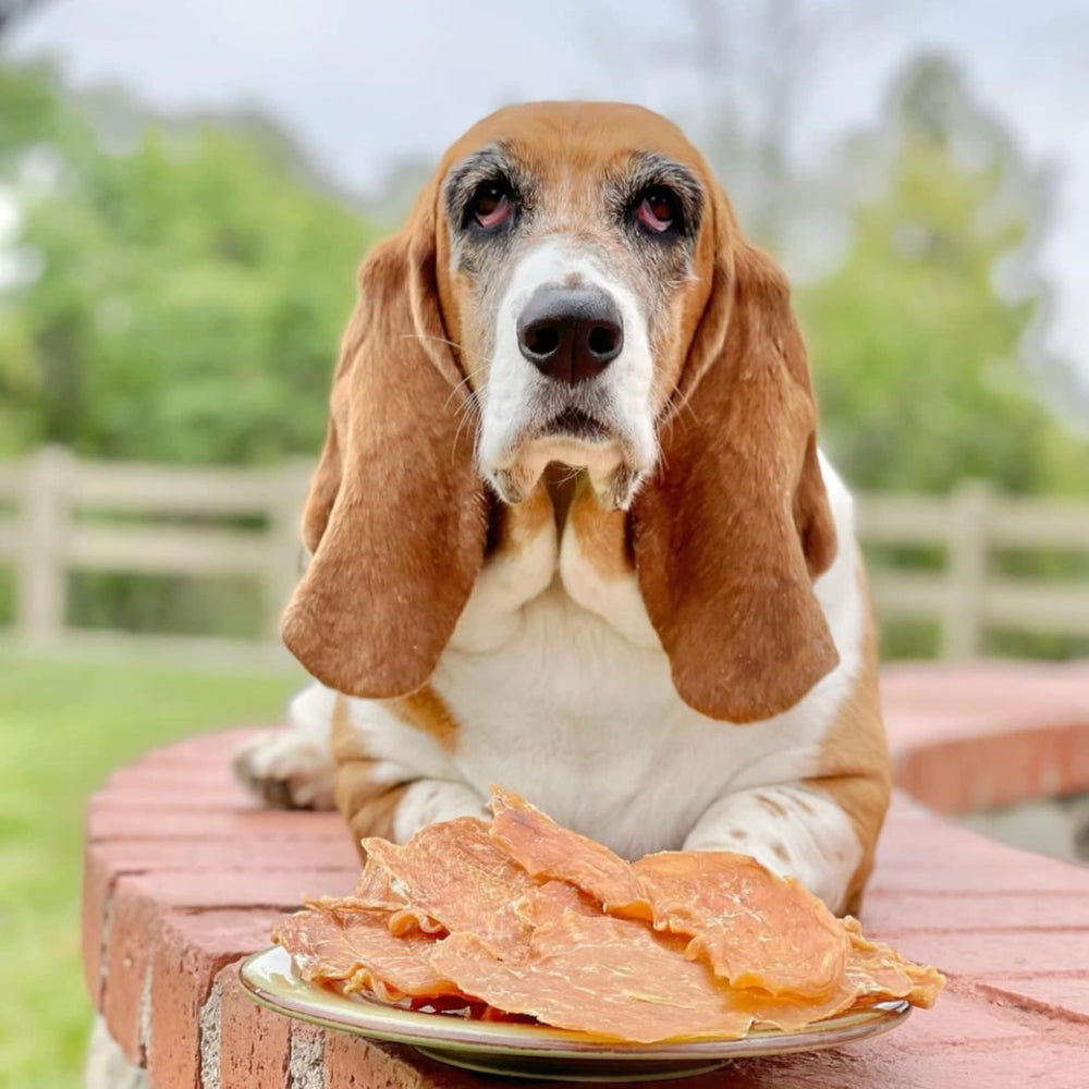 Green Butterfly Brands Poulet Jerky – idée de cadeau pour chien.