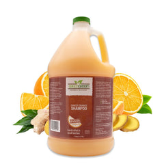 GreenGroom Shampoing Gingembre Orange — bouteille élégante et parfum stimulant pour le bain.