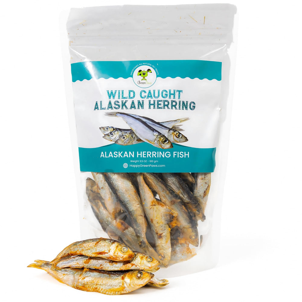 green paws hareng sauvage séché – friandise pour chien, riche en protéines naturelles