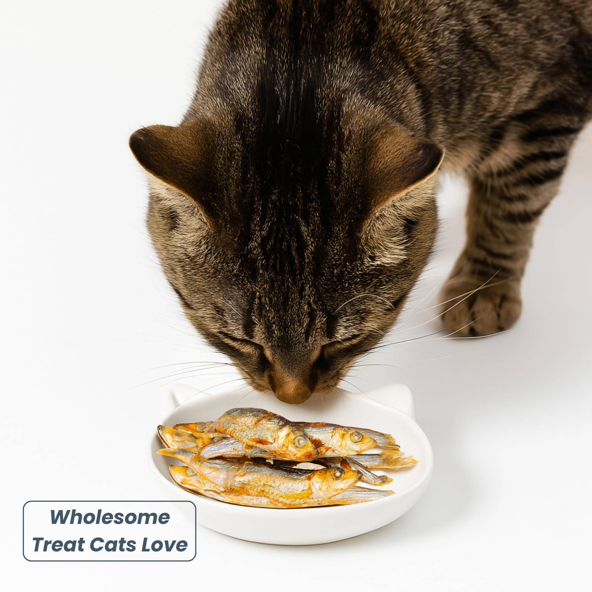 green paws friandise polyvalente, utilisable comme garniture sur les repas