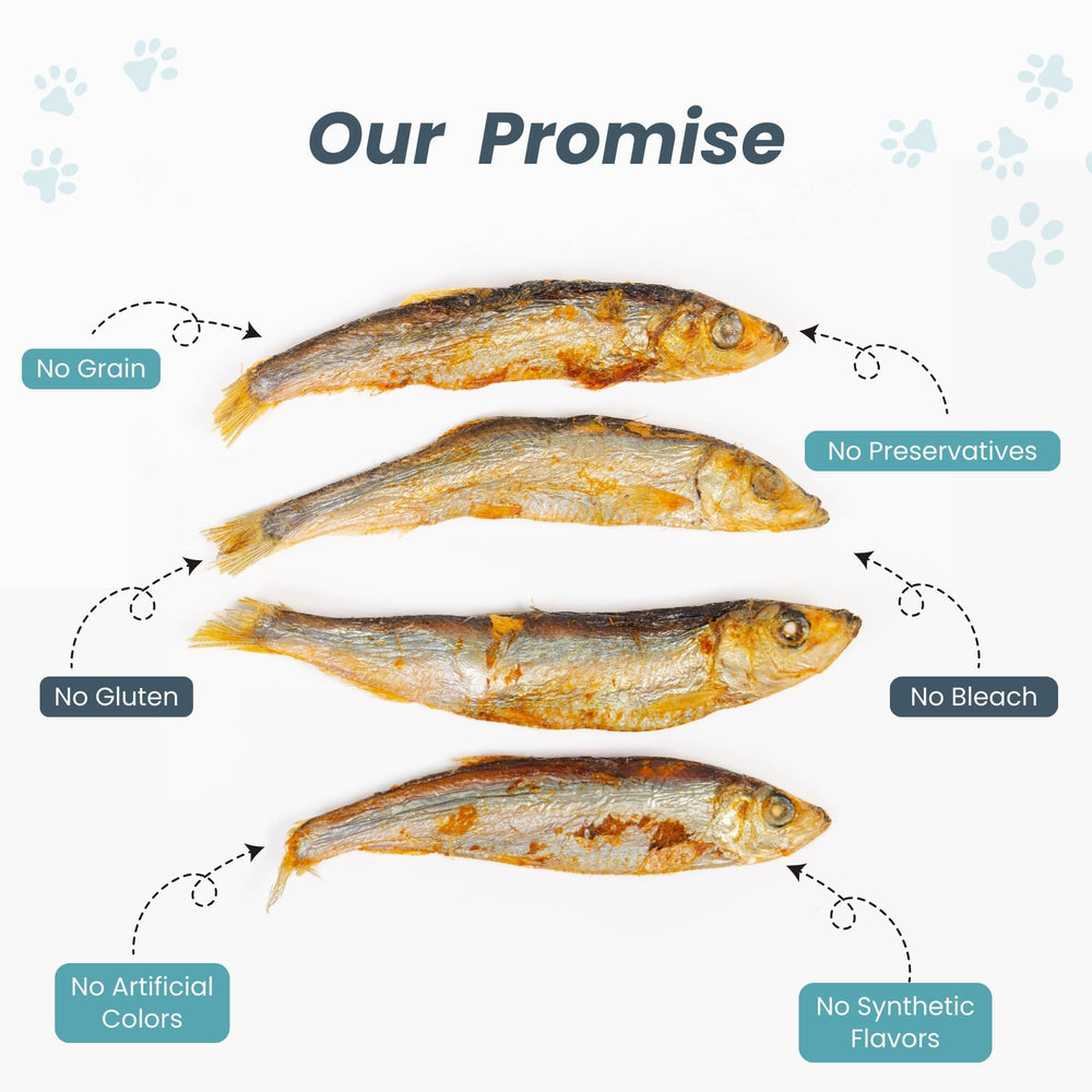 green paws hareng séché Alaska, sans additifs ni céréales