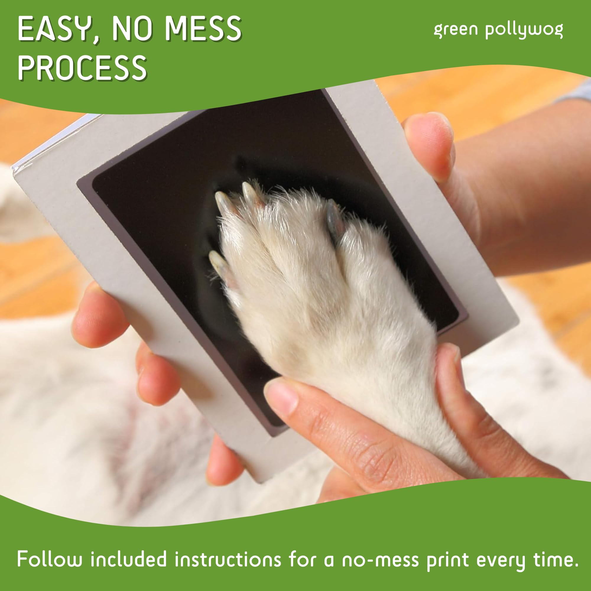 Empreinte patte chat Green Pollywog, capture rapide et propre.