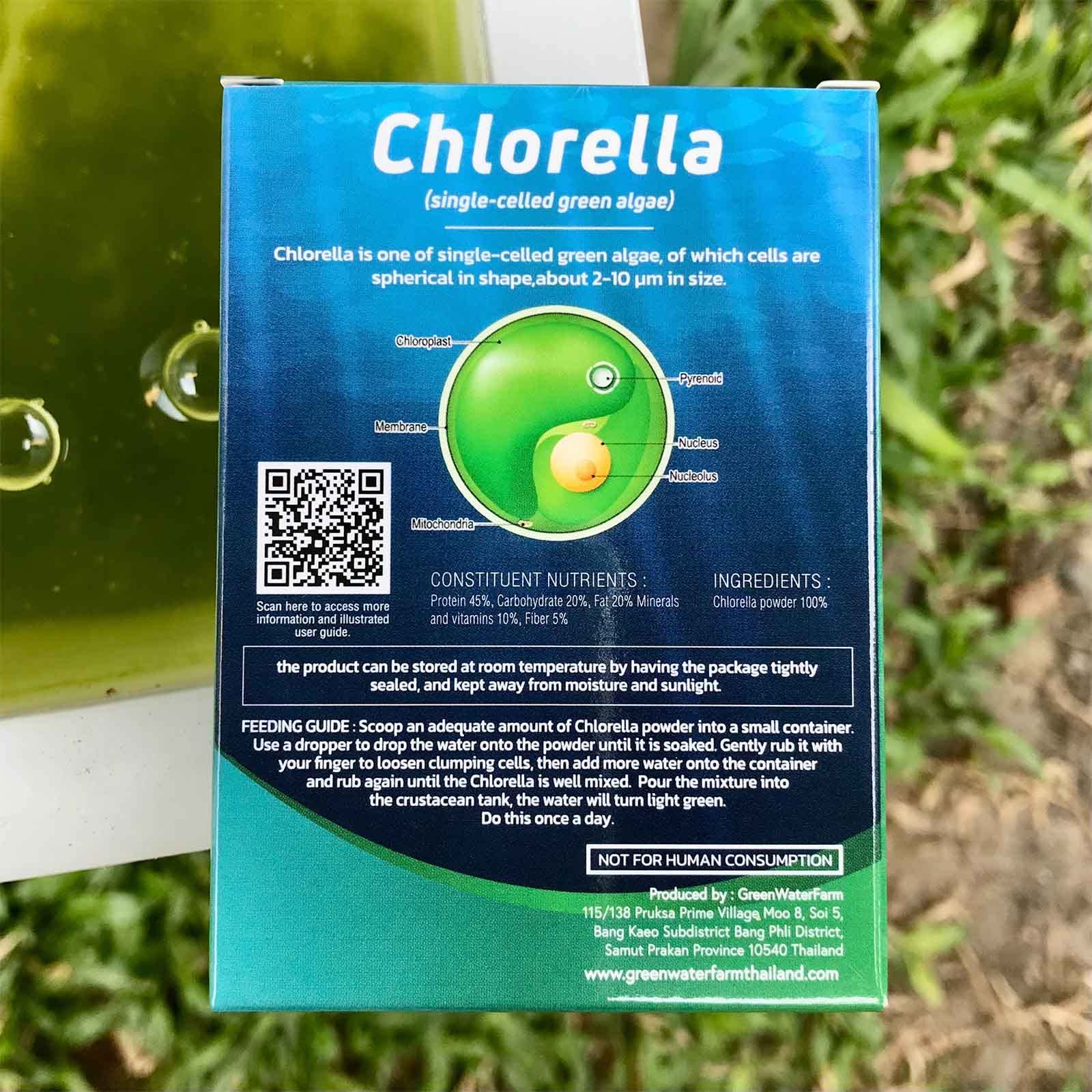 GREEN WATER FARM Poudre chlorelle concentrée, doseur facile pour nourrissage quotidien