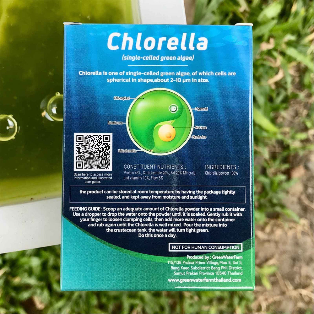 GREEN WATER FARM Poudre chlorelle concentrée, doseur facile pour nourrissage quotidien