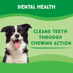 Greencow Morceaux cuir brut hygiène dentaire pendant le mâchage.