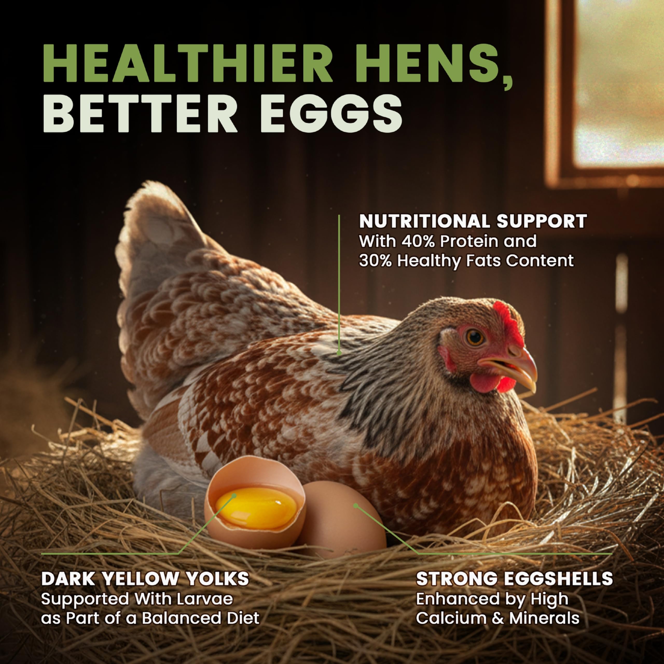 Greenest Treats - larves-mouche-soldat-noire-proteines-calcium: soutien naturel des coquilles et plumage.