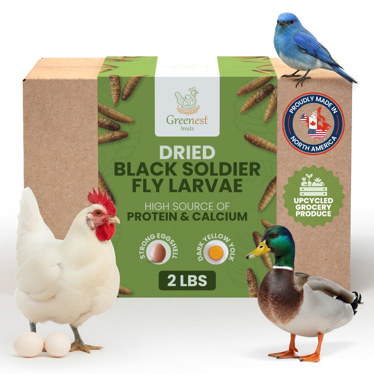 Greenest treats larves-noires-seches pour poussins, riche en protéines.