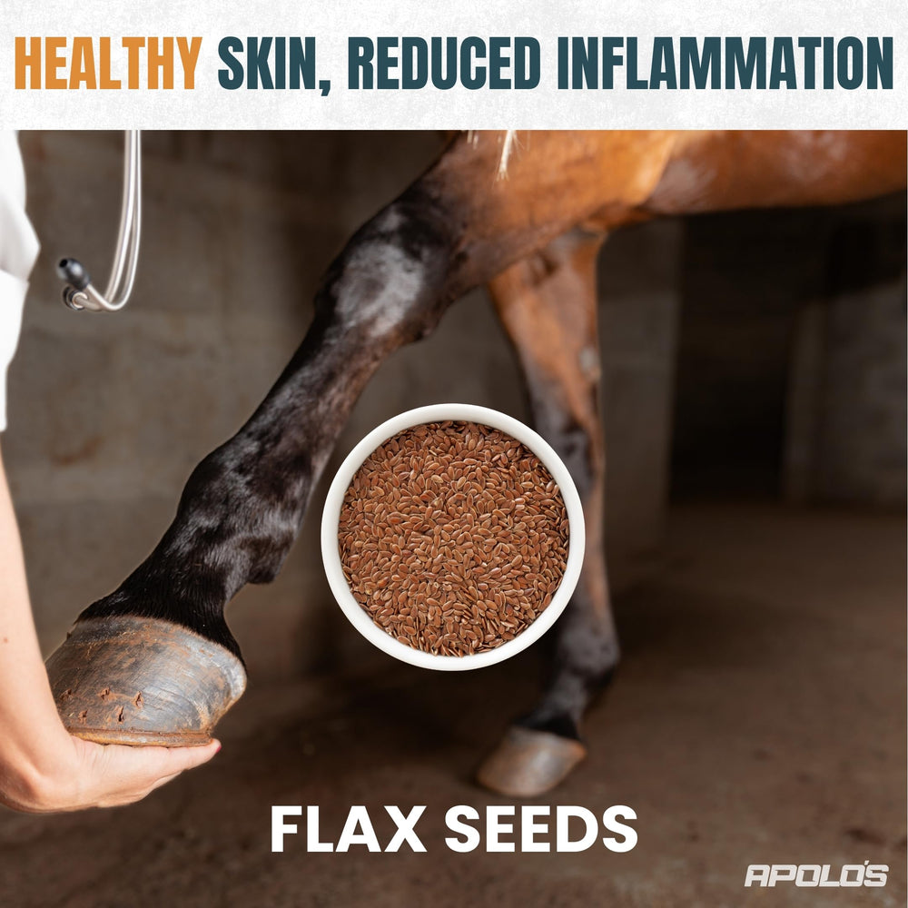 Greenfit APOLO'S – graines de chia biologiques pour pelage brillant et peau saine.