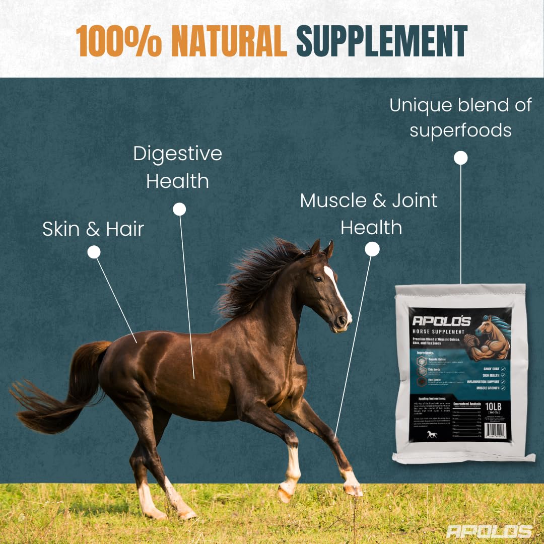 Greenfit APOLO'S – quinoa biologique pour nourrir énergie et vitalité du cheval.
