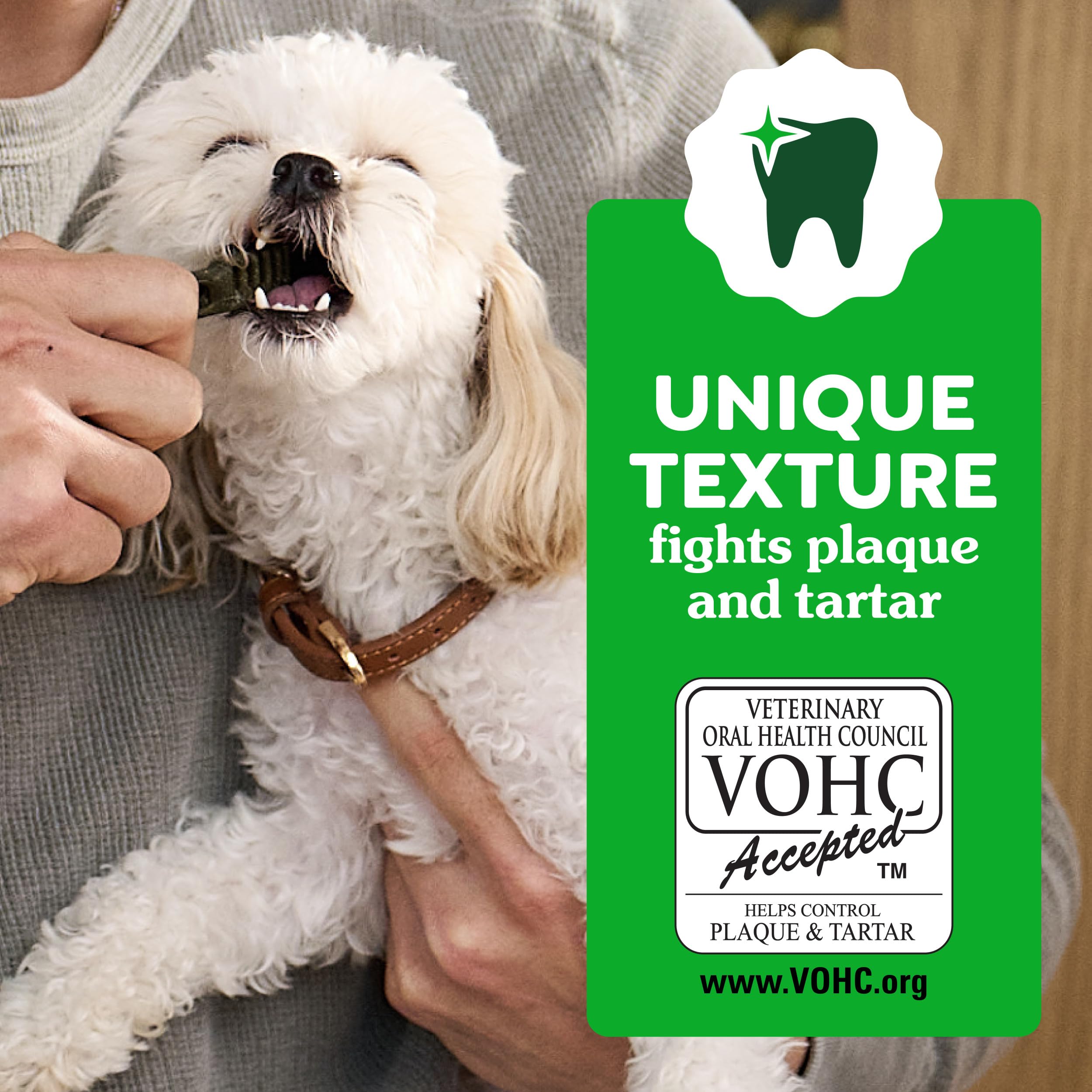 Usage quotidien adapté à un chien adulte avec Greenies Aging Care