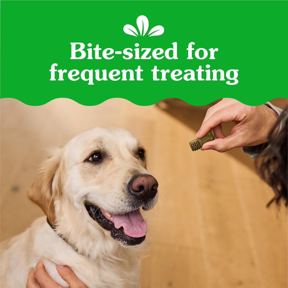 Greenies Anytime Bites, texture tendre, digestion facilitée.