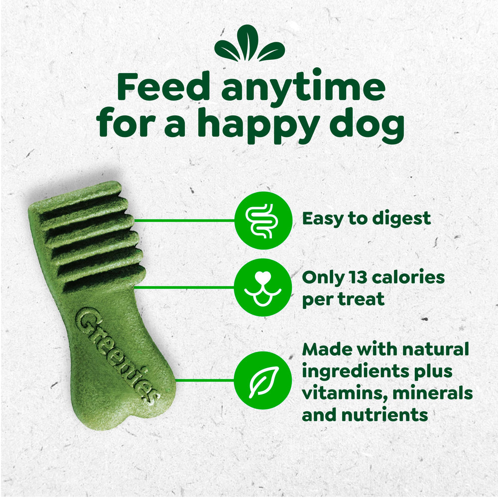 Greenies Anytime Bites texture molle, facile à mâcher pour les chiens.