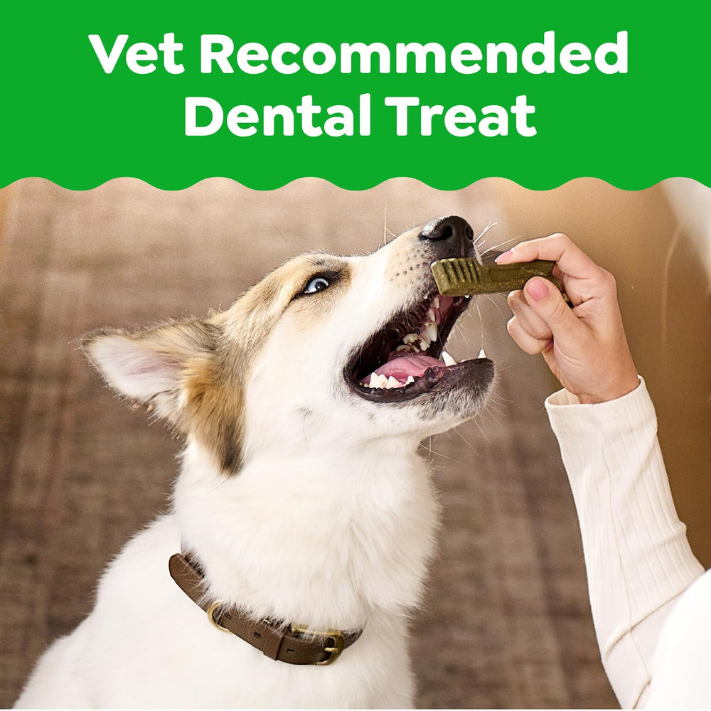 Friandise dentaire Greenies originale pour chien, texture attrayante facilitant la mastication.