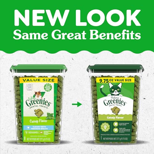 Boîte Greenies, friandises dentaires pour chat, format pratique 9,75 oz.