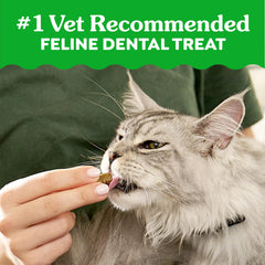 Conception Greenies nettoyant la ligne gingivale du chat