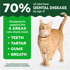 Greenies chat — nettoyage gencives: soutien potentiel au soin buccal quotidien.