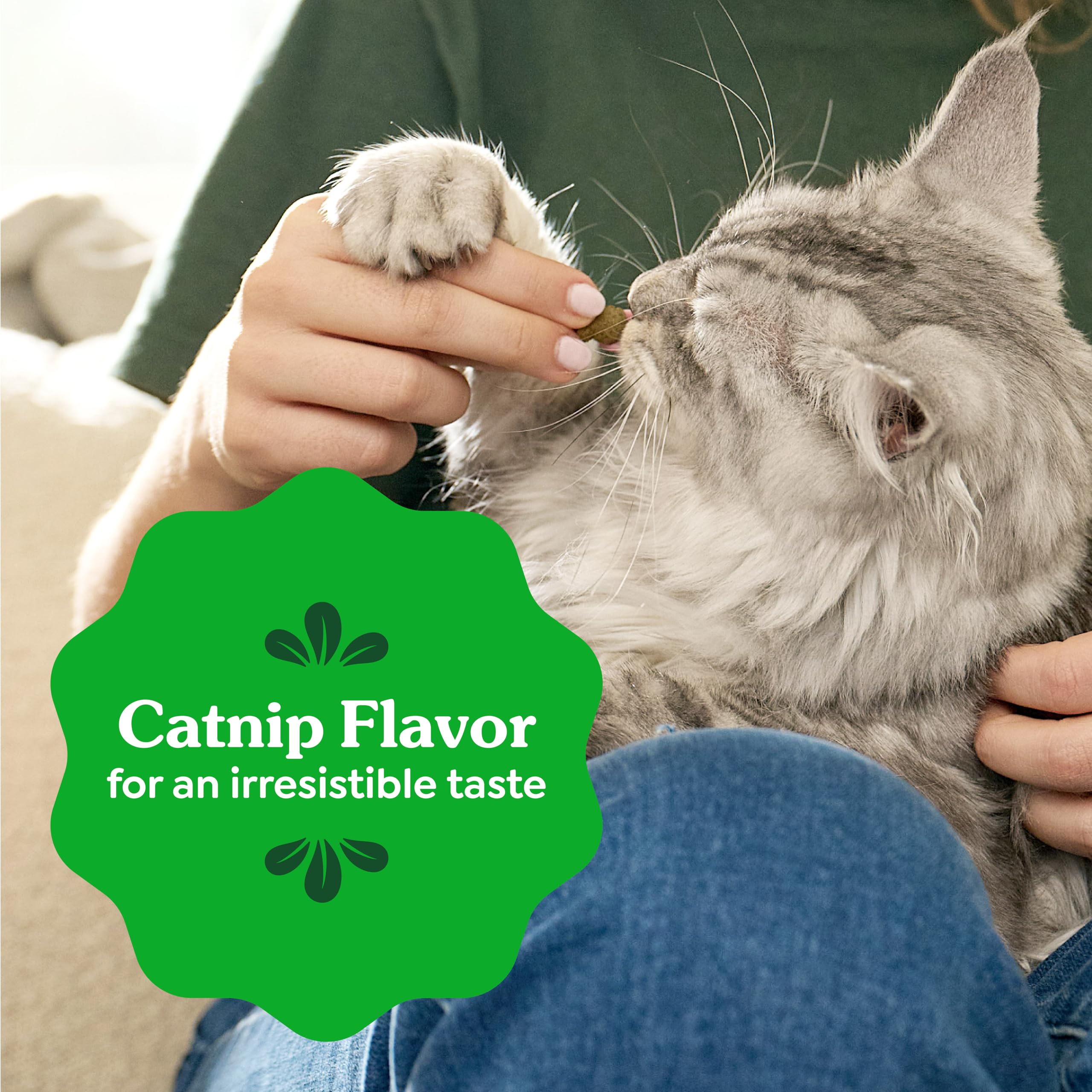 Goût à l’herbe à chat Greenies, favorise l’acceptation des friandises chez les chats difficiles.