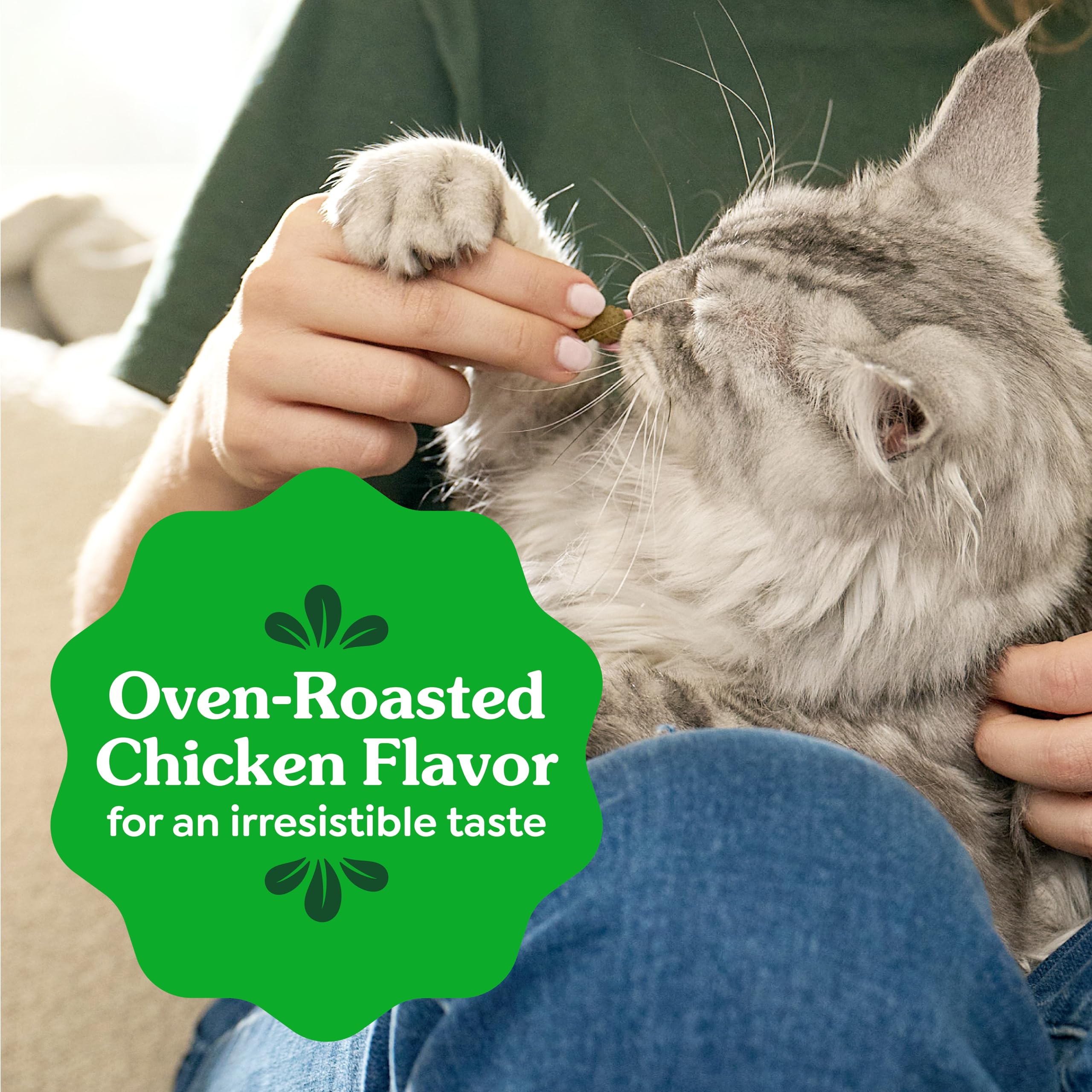 Tub Greenies poulet de 9,75 oz prêt à l’emploi