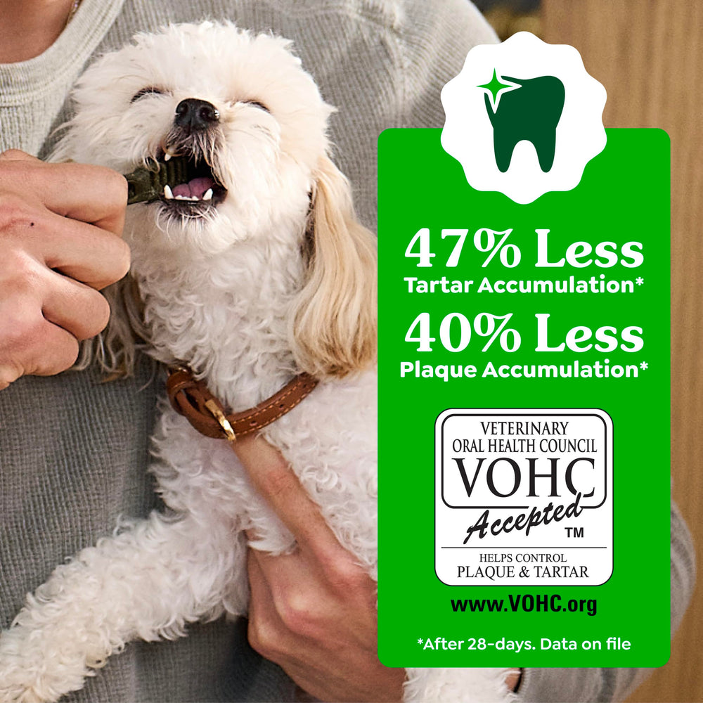Greenies chien grande race – adapté pour chiens lourds, soutien potentiel à l'hygiène.