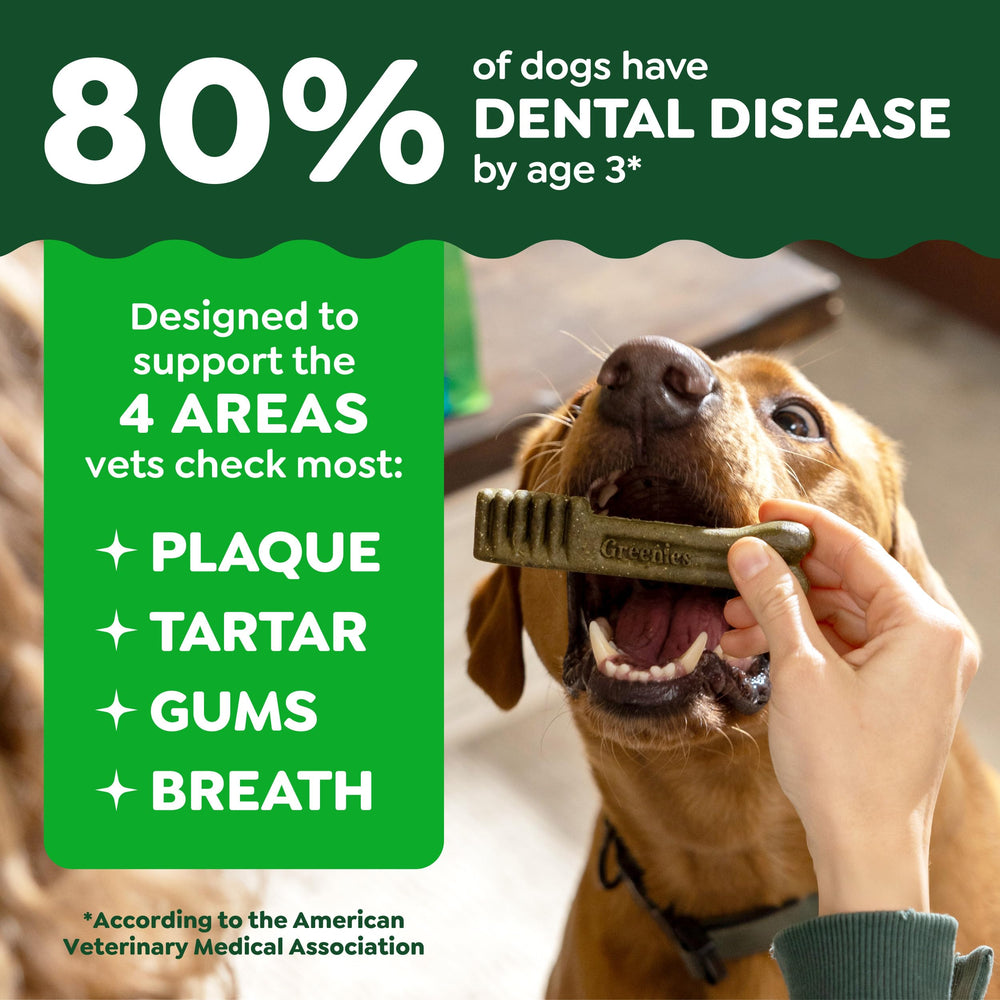 Greenies contre plaque et tartre, chiot plus propre au quotidien.