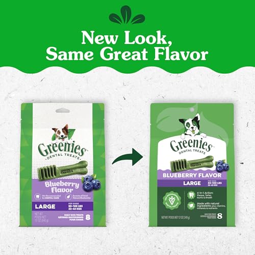 Saveur myrtille Greenies pour chien grand format, goût attractif et frais.