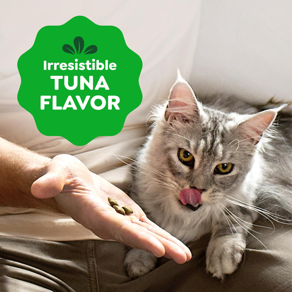 Greenies Smartbites faible calorie : récompense légère sans excès pour chats.