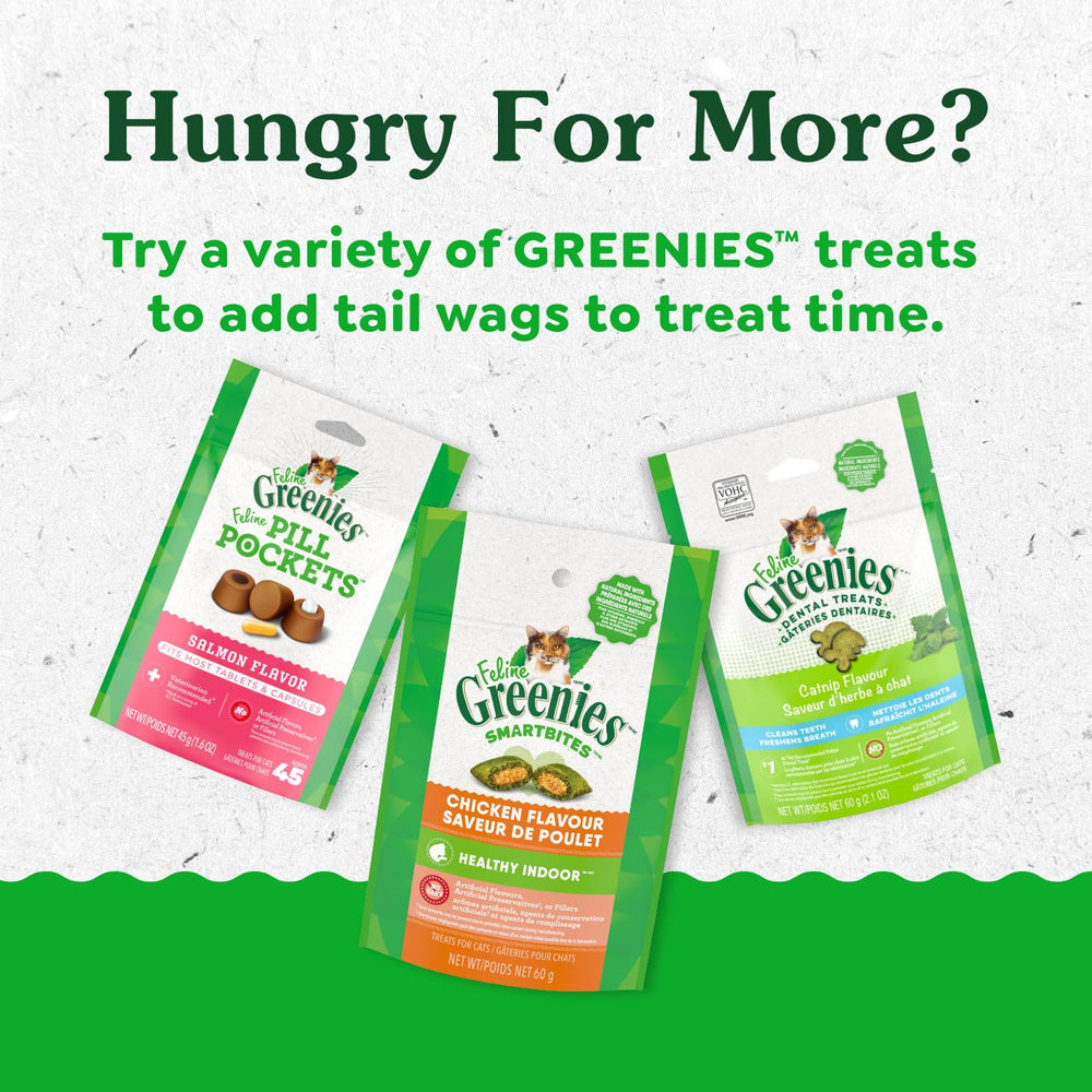 Fibres Fiberblend de Greenies favorisant une digestion équilibrée