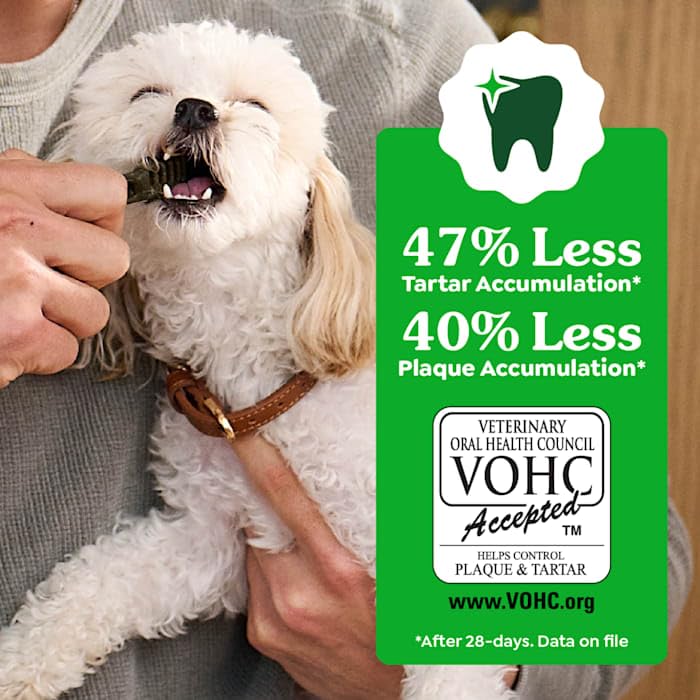 Greenies os dentaires chien grande taille, pratique après les repas.