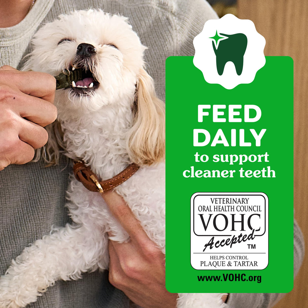 Greenies format petit pour chiots 6 mois, dentition en croissance.