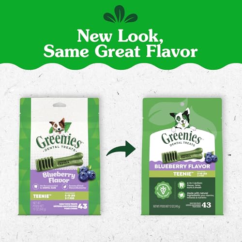 Face du produit Greenies friandise dentaire, design adapté aux petites races.