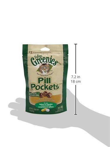 Friandise Greenies saumon chat quotidien apprecie et utile