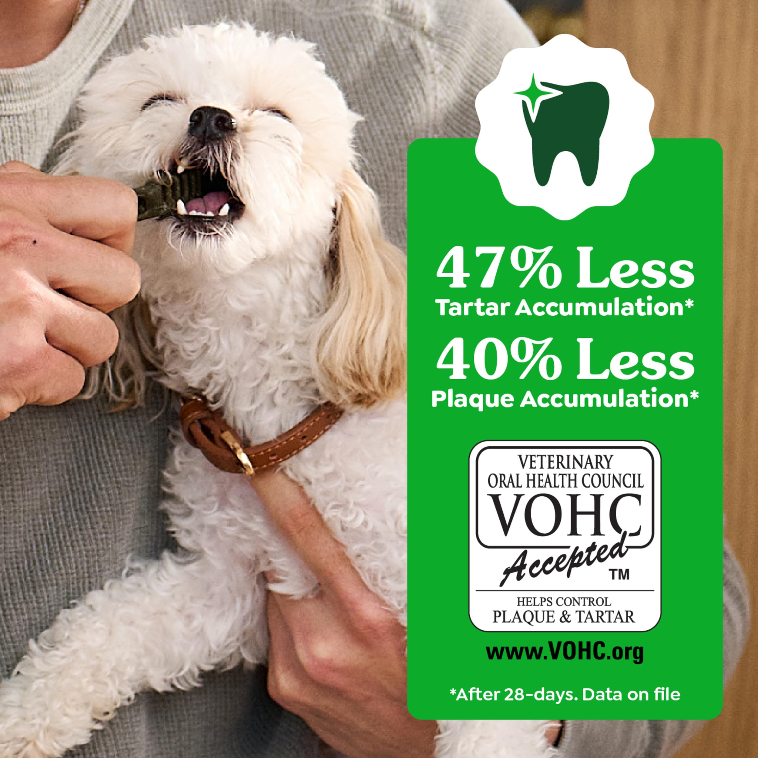 Goût original Greenies pour chiens – friandises qui rafraîchissent l’haleine.