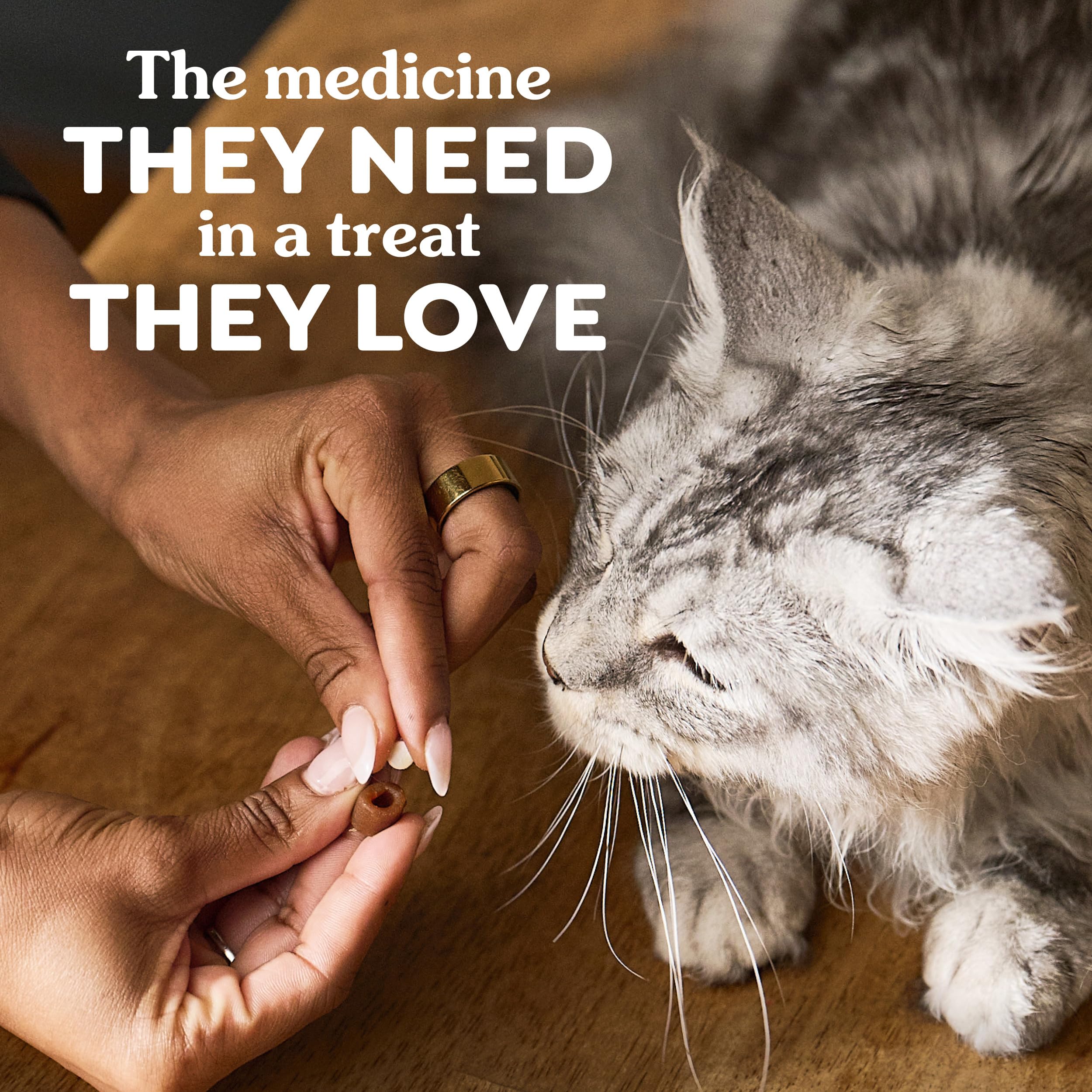 Une bouchée Greenies catnip facilite l'administration régulière