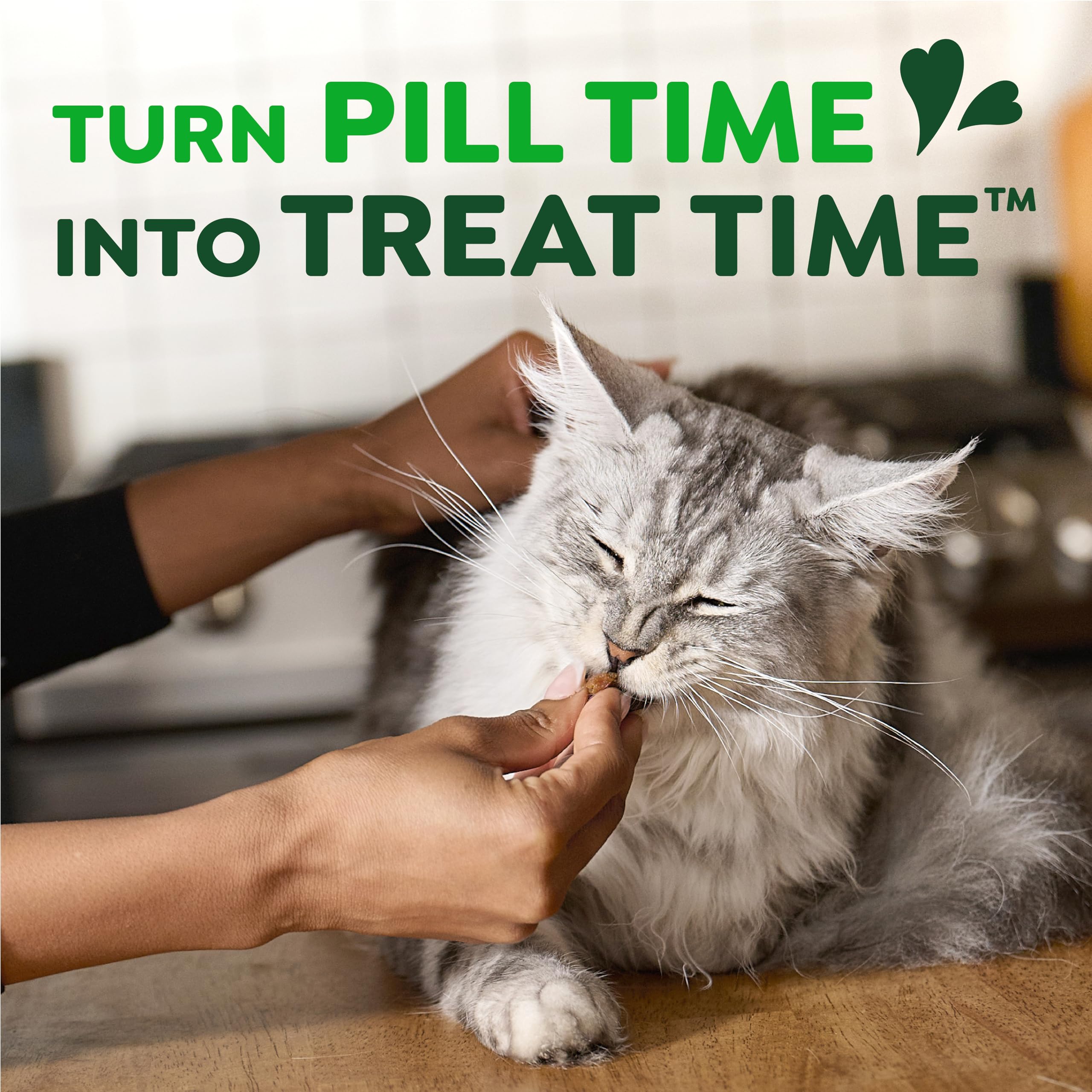 Greenies ingrédients naturels minéraux, friandise saine et naturelle pour chats