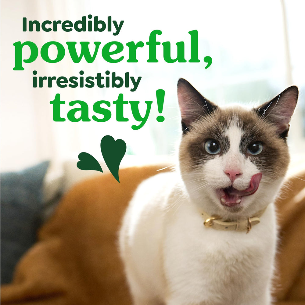 Greenies Chat – ingrédients naturels et nutriments dans chaque bouchée.