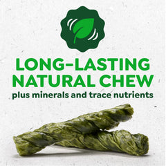 Chien mâchant Greenies Occupy Twists sans additifs artificiels et arômes artificiels