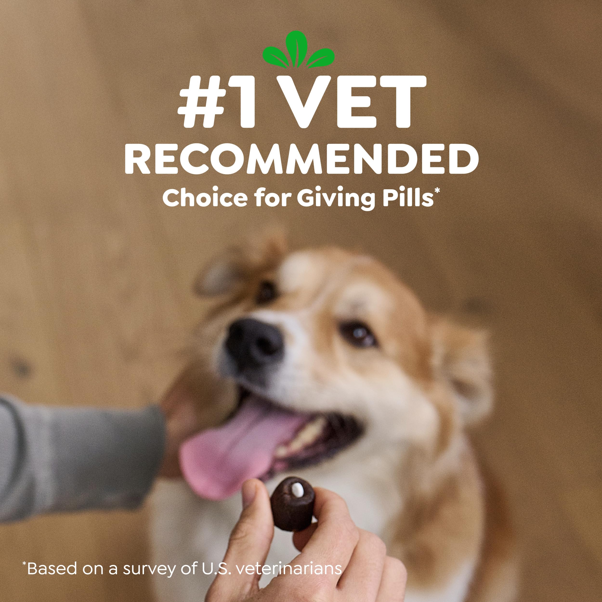Greenies Pill Pockets pour usage quotidien, routine médicamenteuse plus simple.