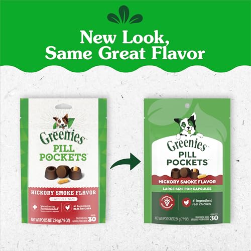 Chien dégustant Greenies saveur Hickory, masque l’odeur du médicament.