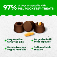 Utilisation rapide des poches Greenies pour gélules chez le chien.