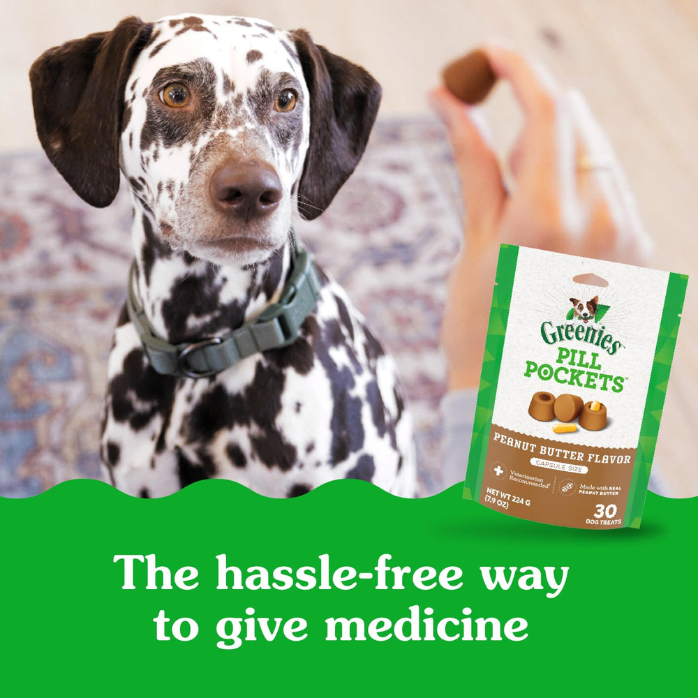 Greenies poche-pilule chien usage simple, routine domestique pratique.